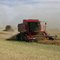 Combining canola north of Canora Sk