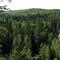 Shale Valley, Riding Mountain National Park, Manitoba