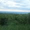 Lookout point off Hwy 19. Gazing East off the escarpment