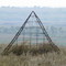 Range Resources Forage Pyramid