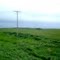 Prairies