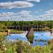 Remains of the first hydro electric station
