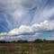 West wind