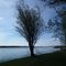 Saskatchewan River by Cumberland House.