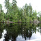 Calm waters