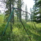 Abandoned campground