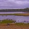 Deer lake