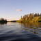 The Honey Hole