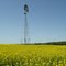 Near Neepawa, Manitoba, Canada