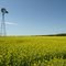 Near Neepawa, Manitoba, Canada