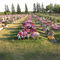 Neepawa Cemetary
