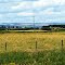Near Neepawa, Manitoba