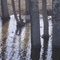 Puddle in front of Pelican Landing