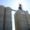 Viterra Grain Terminal - Melville