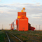 Rosetown Elevator
