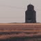 Classic Prairie - Golden Fields And A Grain Elevator North Of Swift Current SK Sep '13