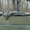 Louisiana State Memorial, Seminary Ridge, West Confederate Avenue