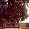 Gettysburgh men south on charge statue full