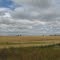 Prairies in Western Manitoba
