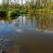 Rat River south of Zhoda