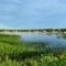 Morning At The Mouth Of The Pelican River
