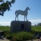 The White Horse at St. Francis Xavier
