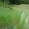 Knarly section of pipeline to Violin lake