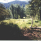 Field