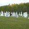 Cimetière Ukrainien, route 83  - MB - Canada