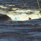 White Mud , Scary wave,1200cms