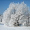 Winter in Canada
