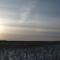 A sundog at sunset over Saskatchewan's croplands