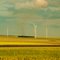 St Leon Wind Farm