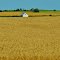 Farming from Highway 23,  Manitoba