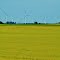 St Leon Wind Farm, Manitoba