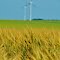 St Leon Wind Farm, Manitoba