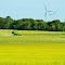 St Leon Wind Farm, Manitoba