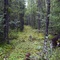 archers trail