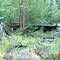 Log Cabin Ruins
