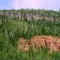 13500kms Of Canada(Day03)#087_ON_Red Rock