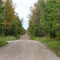 The Long Road