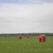 Bee shelters