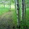 Binney Nature Preserve