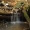 Little Fall stream