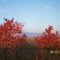 Fall Flame