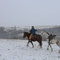 Cowboy in the storm