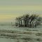 Lone Grove Of Trees On The Prairie In A Winter Wonderland South Of Saskatoon SK Mar '11