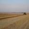 Harvest