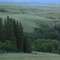 Pine Cree Vally