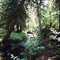 Pine Cree Regional Park